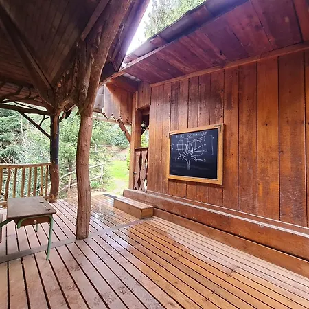 Chalet En Foret Avec Vue, Randos, Faune, Wifi, Annexe Et Jardin, Ideal Pour Sejour Insolite - Fr-1-584-199 Σπίτι διακοπών